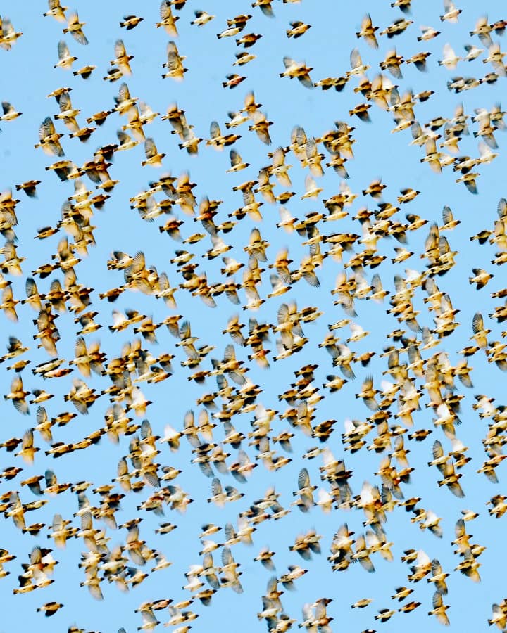 New Road Construction Project Begins